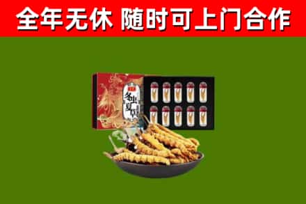 平桥区回收冬虫夏草价格